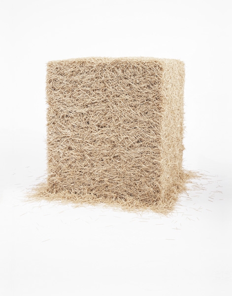 Artwork by Tara Donovan, Untitled (Toothpicks), Made of Wooden toothpicks.