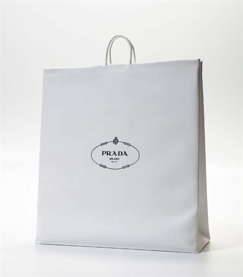 Swan by Jonathan Seliger, 2001