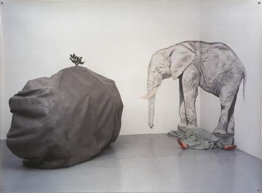 Red Shoes by Boyd Webb, 1982