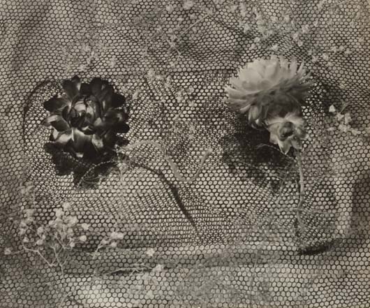 Two straw flowers, Bauhaus, Berlin, November by Horacio Coppola, 1932