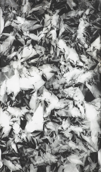 Picture Made by Hand with the Assistance of Light by Walead Beshty, 2006