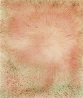 Chris Vasell