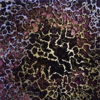 Stephen Filla - Foster / White Gallery