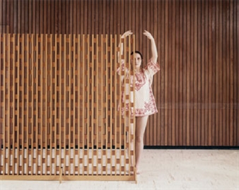 Dance with Camera - Institute of Contemporary Art, Philadelphia