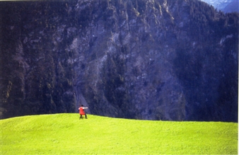 Remote Proximity "Nature" in Contemporary Art - Kunstmuseum Bonn