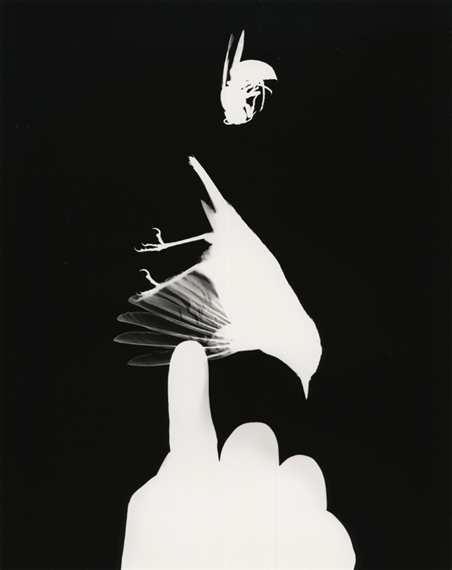 Ryuji Miyamoto: The grass, bugs and sea - Taro Nasu Gallery