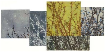 Trine Bumiller: New Work – Half Light - Kathryn Markel Fine Arts (20th Str)