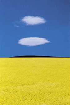 Franco Fontana: Work 1967 - 2008 - Galerie Stephen Hoffman