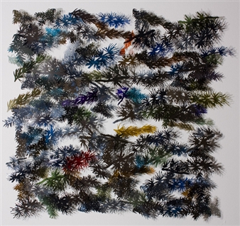 Julia Barello – glance - Zane Bennett Contemporary Art