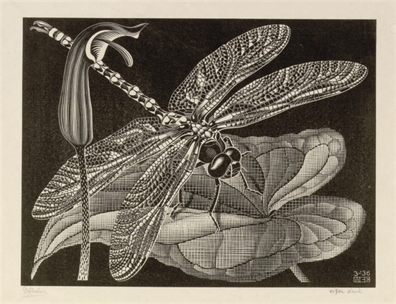Libellula (Glazenmaker) (B. 281) by Maurits Cornelis Escher, 1936