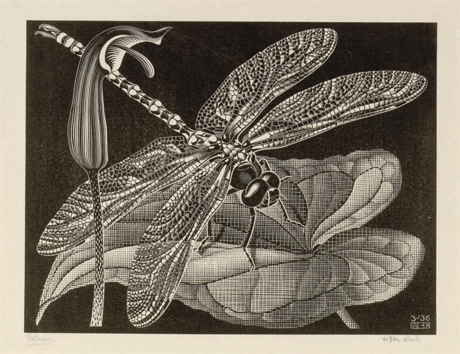 Artwork by Maurits Cornelis Escher, Libellula (Glazenmaker) (B. 281), Made of woodengraving on cream wove paper