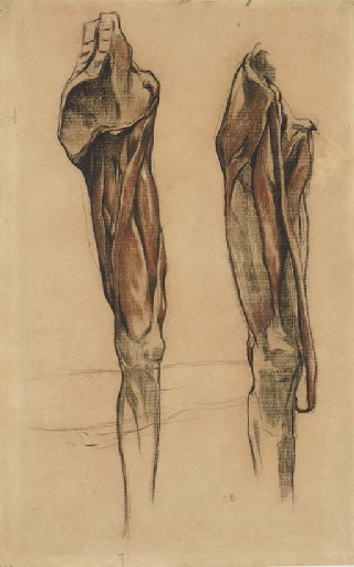 Study of two échorché legs by Eugène Delacroix