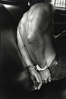 Suspect in the back of a police car, New York City, 1978 Picture