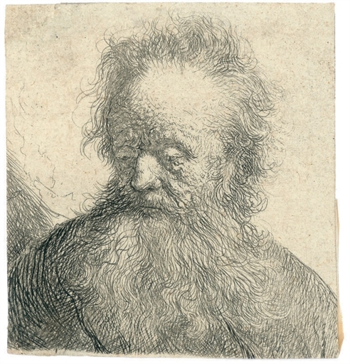 Rembrandt van Rijn | Old Man with a flowing Beard: Bust (1631) | MutualArt