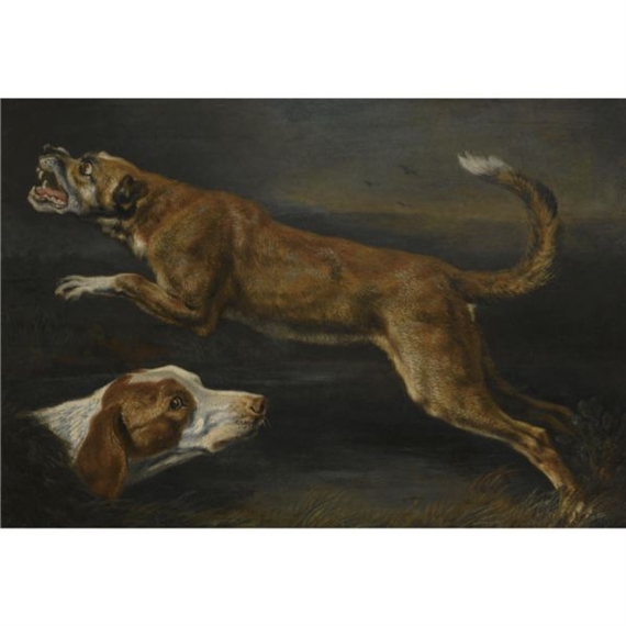 A Study of Two Dogs, a Pointer and a Hound by Pieter Boel
