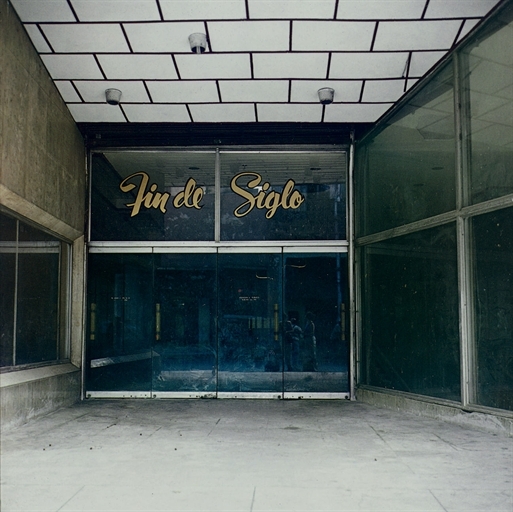 Fin de Siglo, 2001 by Zoe Leonard, 2006