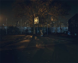 CONTINUING AND RECOMMENDED EXHIBITIONS-Gerald Förster