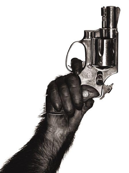 Monkey with Gun, New York City by Albert Watson, 1992