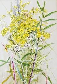 Goldenrod and Grasses