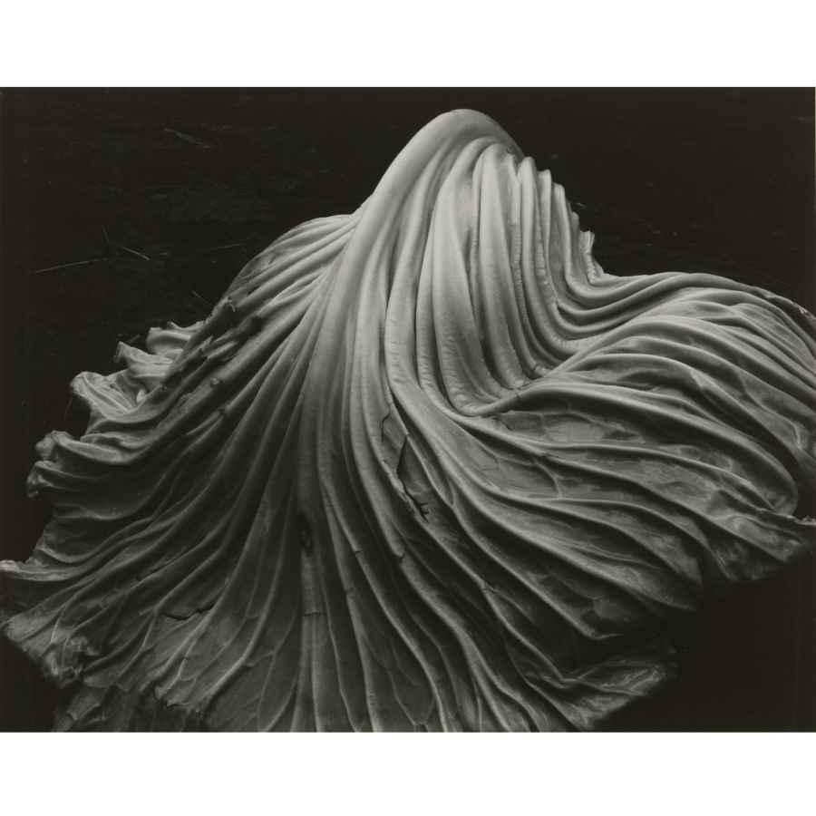 edward-weston-nude-on-sand-oceano-mutualart