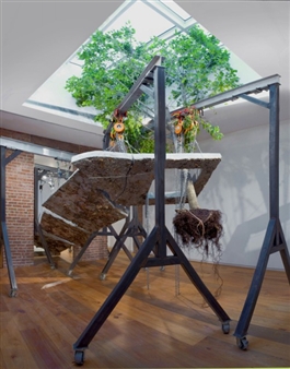 David Brooks: Naturae Vulgaris - Museum 52, New York