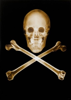 'Skull and Crossbones' - Nick Veasey