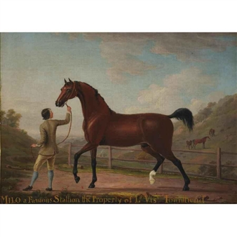MILO, A FAMOUS STALLION THE PROPERTY OF VISCOUNT TOWNSEND - Richard Roper