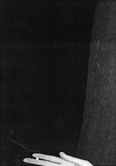 Sonja Engelhardt: The Next Day - Galerie Charlotte Desaga