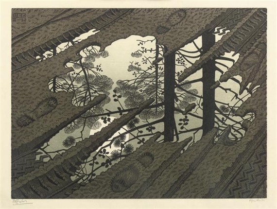 Modderplas - Puddle (B. 378) by Maurits Cornelis Escher, 1952