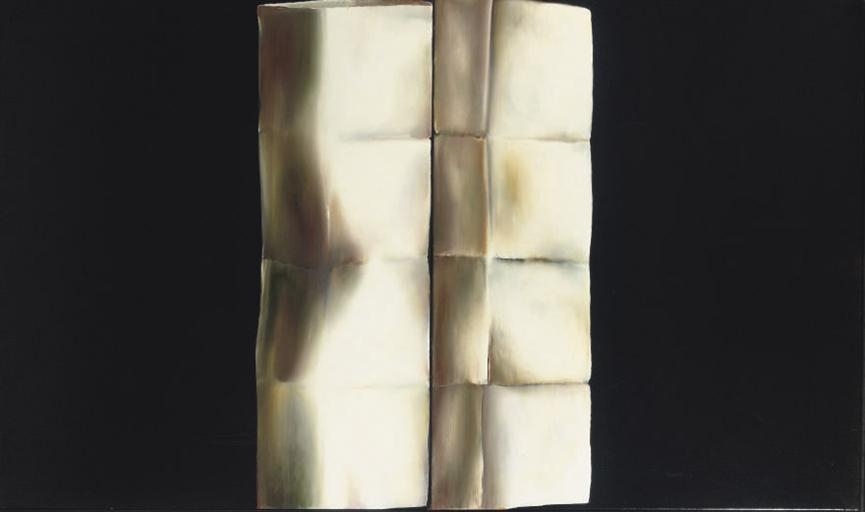 Artwork by Paul De Vylder, Untitled (diptych), Made of acrylic on two canvases