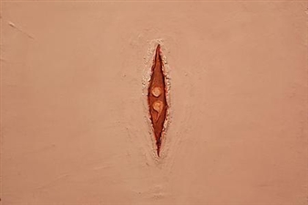 The Visible Vagina - David Nolan
