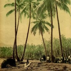 Janek Simon - Arnolfini