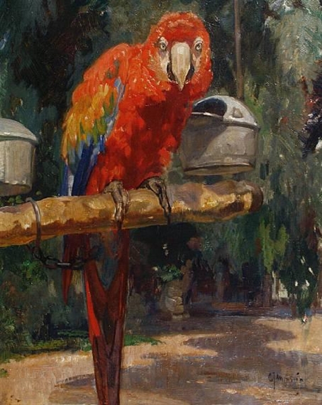 Cornelis Jan Mension | Parrot | MutualArt