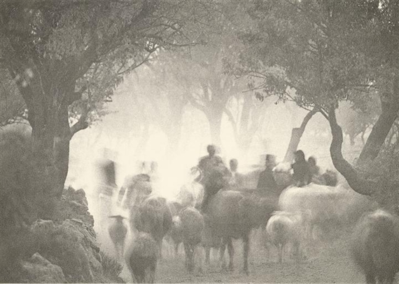 Cretan Landscape, 1964 by Irving Penn
