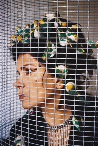 Artwork by Sukran Moral, Bulbul (Nightingale), Made of colour photograph with acrylic on canvas