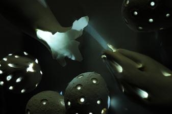 In Significance - Kiang Gallery