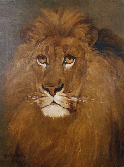Study of a lion by Charles Edwin M. Baldock, 1919