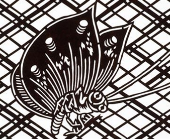 Queen of the Insects - RISD Museum