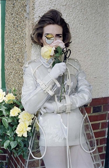 Linder: King’s Ransom (Hybrid Tea) - Sorcha Dallas