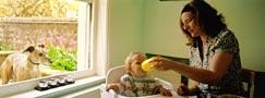 Richard Billingham's return of a fascinating family affair