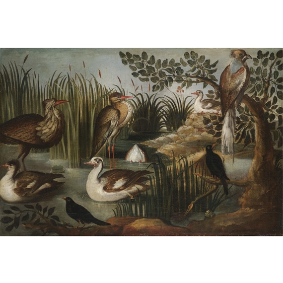 A bittern, a heron, four Muscovy ducks, two blackbirds and a hawk amongst reeds by German School, 18th Century