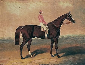 birdcatcher, with jockey up - Samuel Spode
