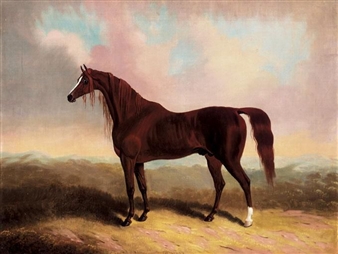 COPENHAGEN, A CHESTNUT HORSE IN A LANDSCAPE - Samuel Spode