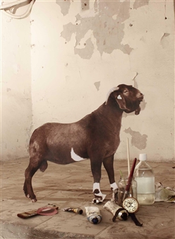 We Are The Painters - Galerie Lucile Corty