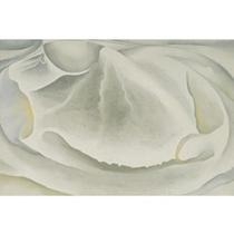INSIDE CLAM SHELL by Georgia O'Keeffe, 1930