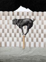 Cognitive Dissonance - Palette Art Gallery