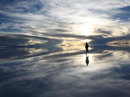 Tomás Saraceno: Lighter than Air - Blaffer Art Museum