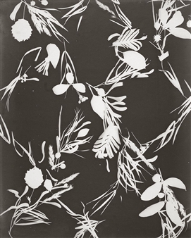 Two works: UNTITLED (PHOTOGRAMS) - Lou Bonin - Tchimoukoff