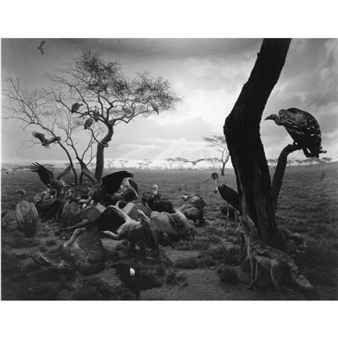 Hiroshi Sugimoto | Hyena-Jackal-Vulture (1976) | MutualArt