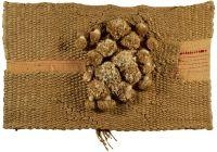 FLORS DE MONTANYA by Josep Grau Garriga, 1971